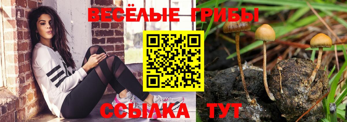 ГАШ Кумертау